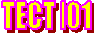 TECT .01