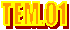 TEM.01