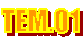 TEM.01